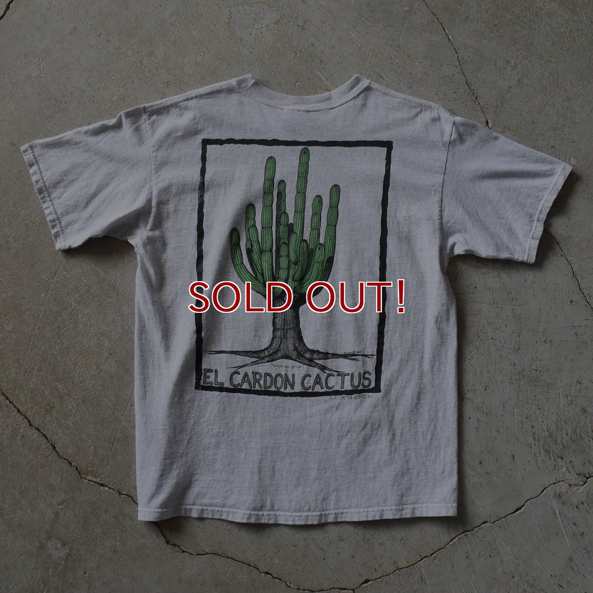 画像1: 2000s EL CARDON CACTUS サボテンTシャツ　 "MADE IN MEXICO"　 表記L  (1)