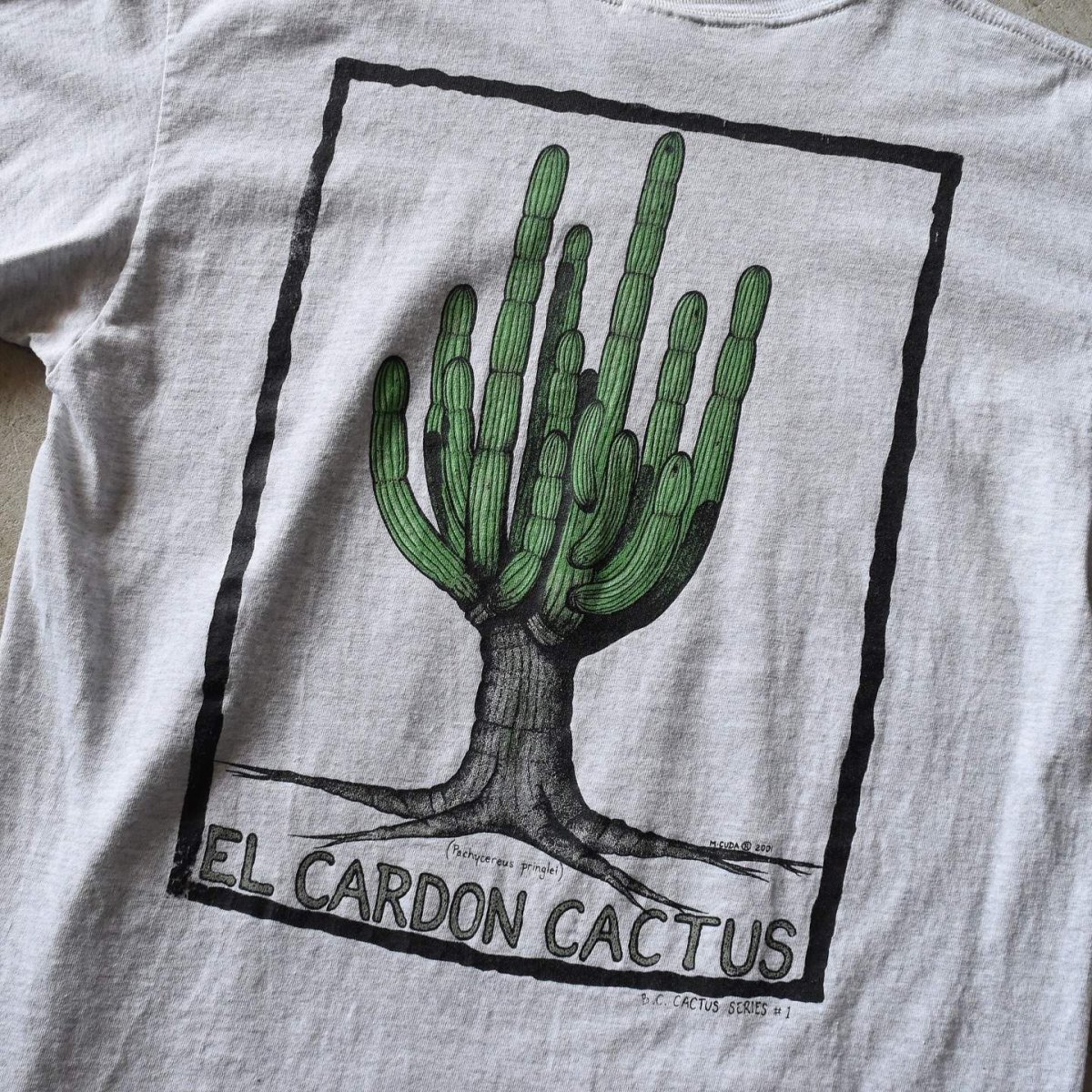 画像6: 2000s EL CARDON CACTUS サボテンTシャツ　 "MADE IN MEXICO"　 表記L  (6)