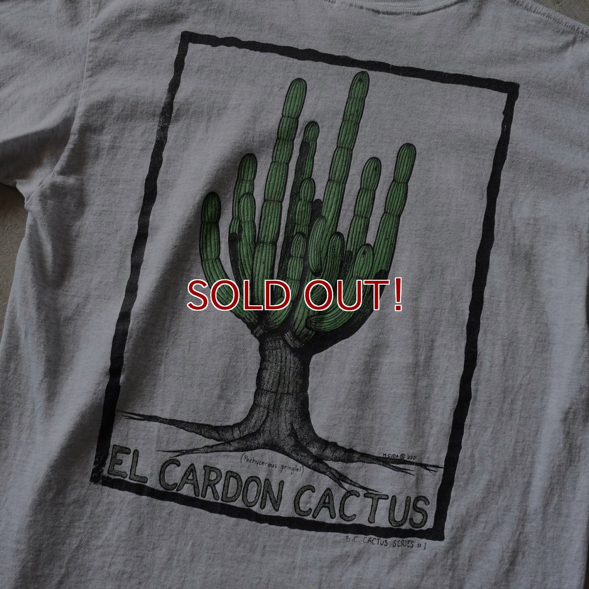 画像6: 2000s EL CARDON CACTUS サボテンTシャツ　 "MADE IN MEXICO"　 表記L  (6)