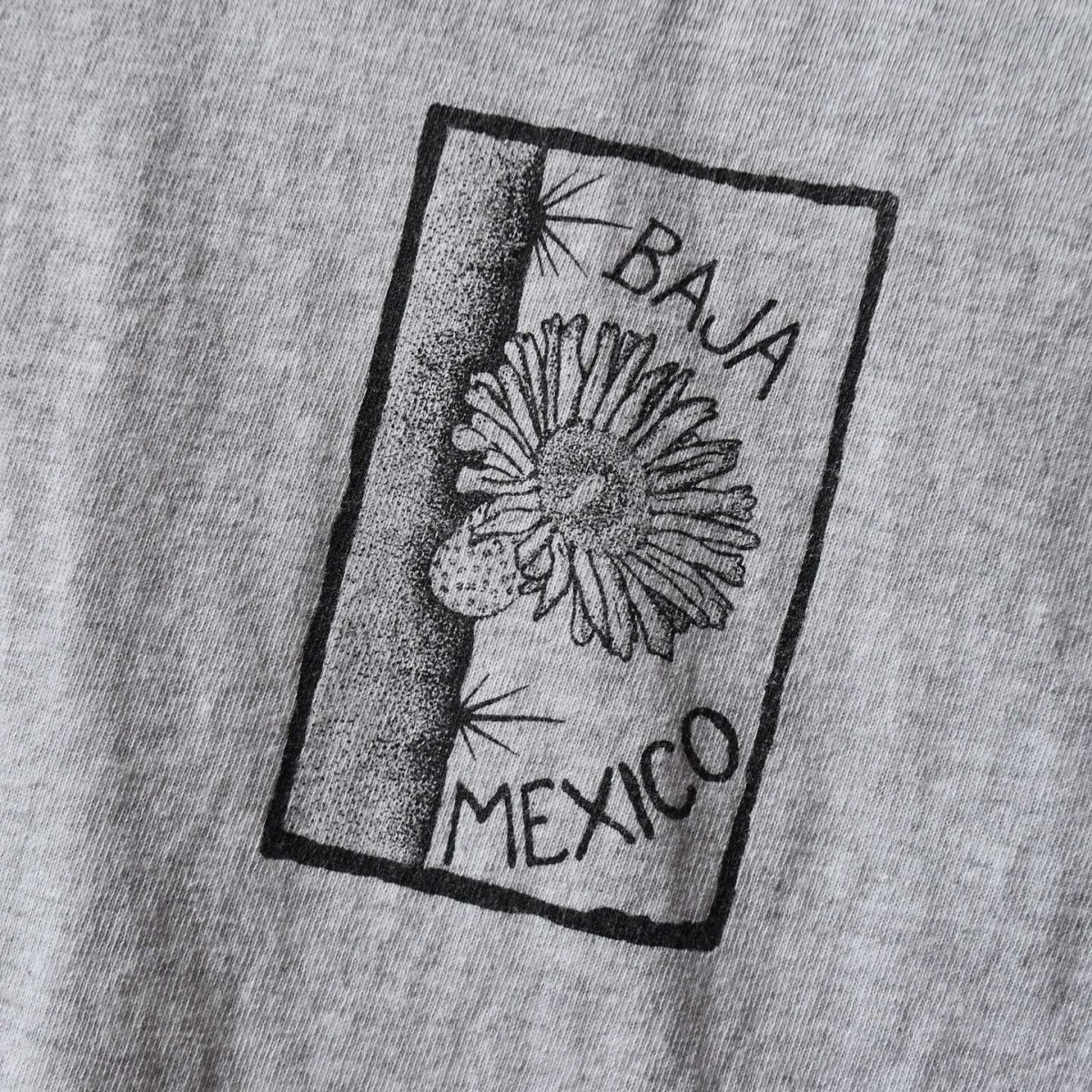 画像5: 2000s EL CARDON CACTUS サボテンTシャツ　 "MADE IN MEXICO"　 表記L  (5)