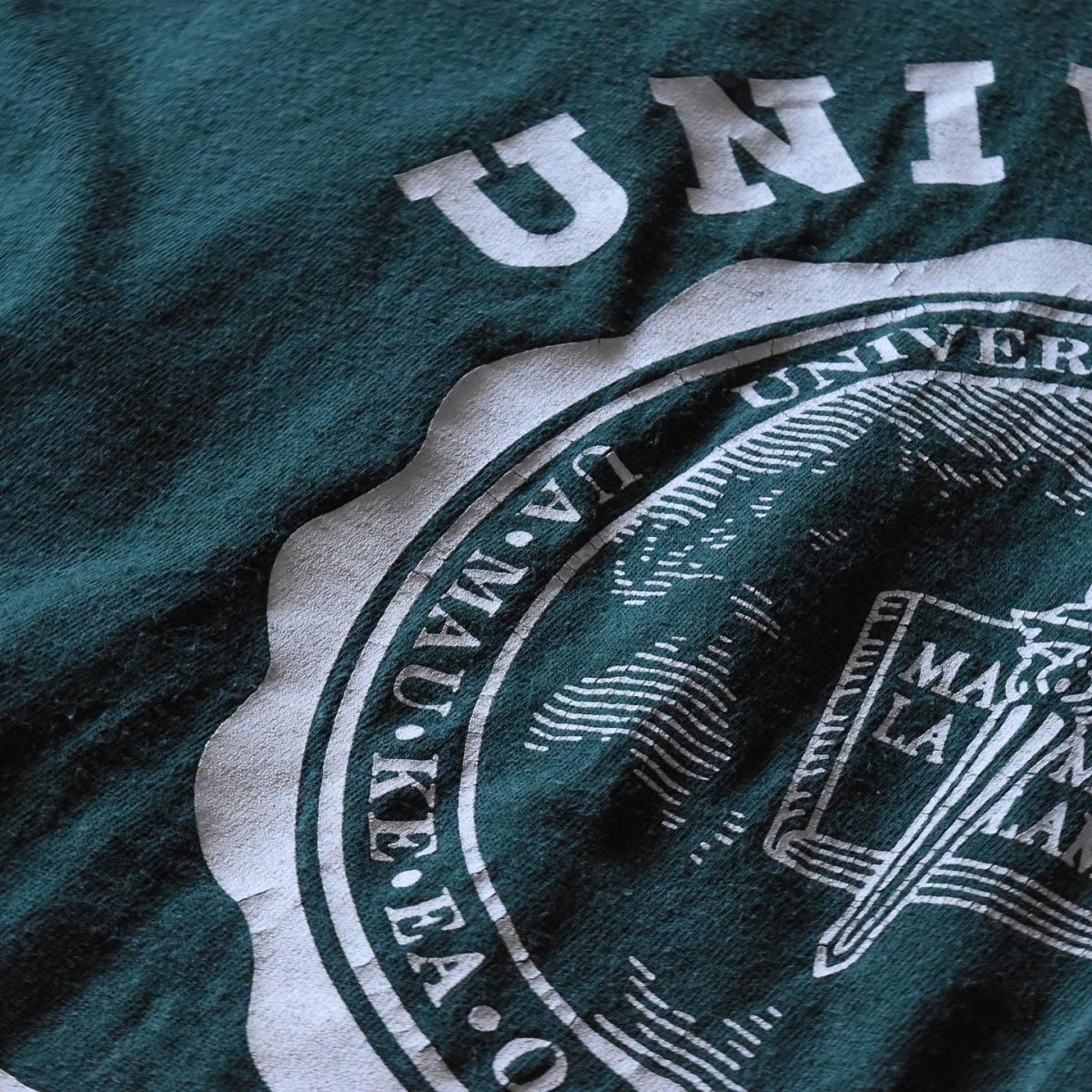 画像5: UNIVERSITY OF HAWAII カレッジTシャツ　 表記XL  (5)