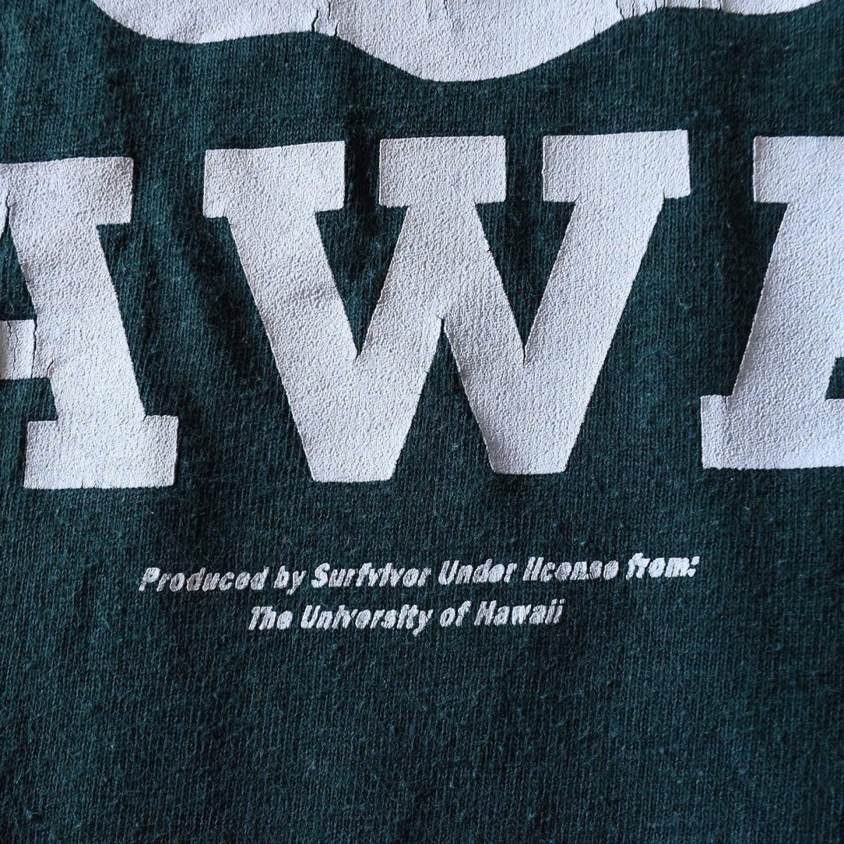 画像6: UNIVERSITY OF HAWAII カレッジTシャツ　 表記XL  (6)