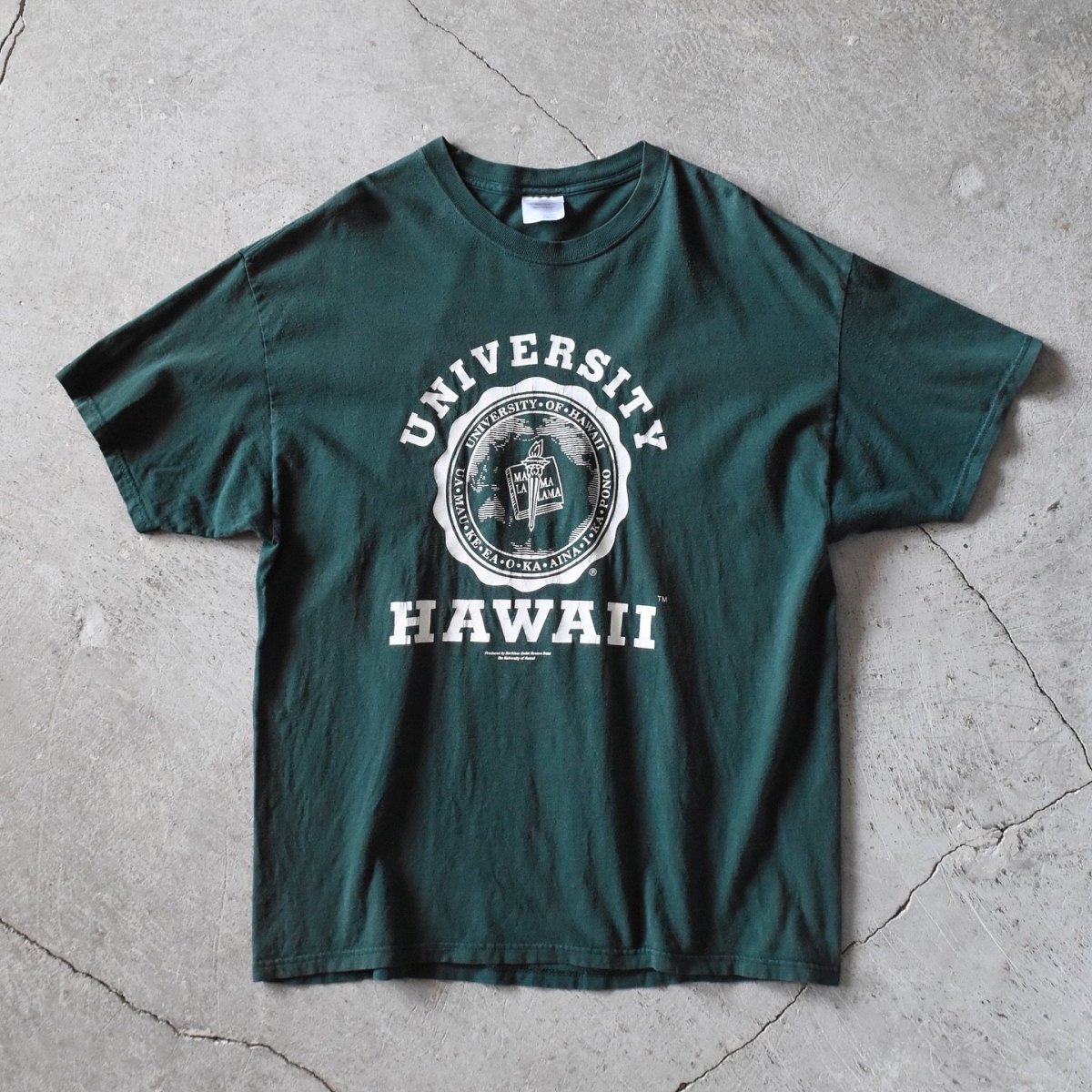 画像1: UNIVERSITY OF HAWAII カレッジTシャツ　 表記XL  (1)