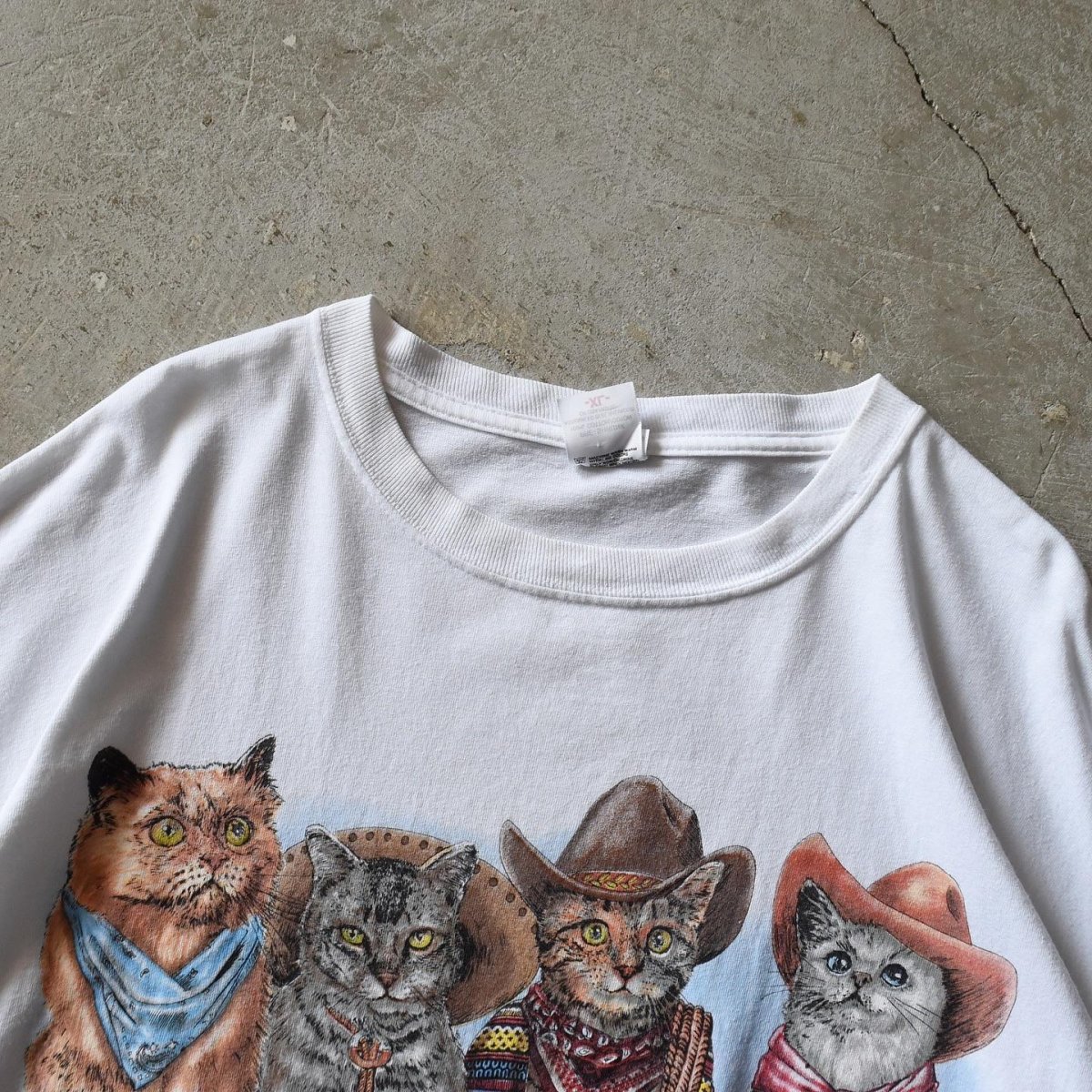 画像4: NASHVILLE TENNESSEE ねごTシャツ　 表記XL  (4)