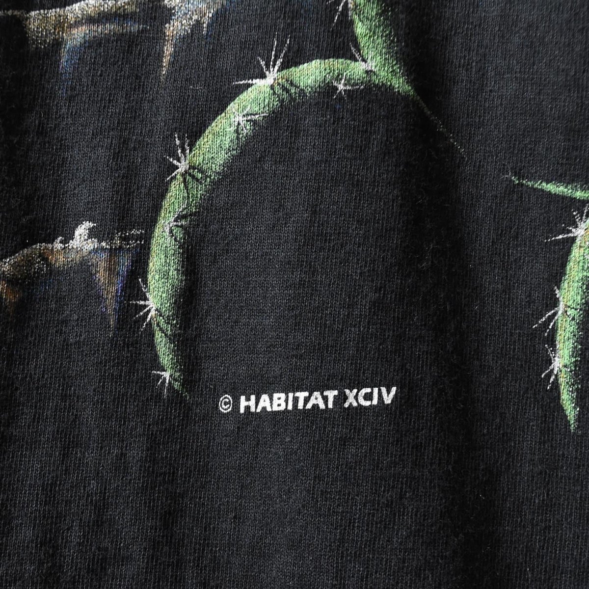 画像6: 1990s HABITAT XCIV サボテンTシャツ　 "MADE IN USA"　 表記L  (6)
