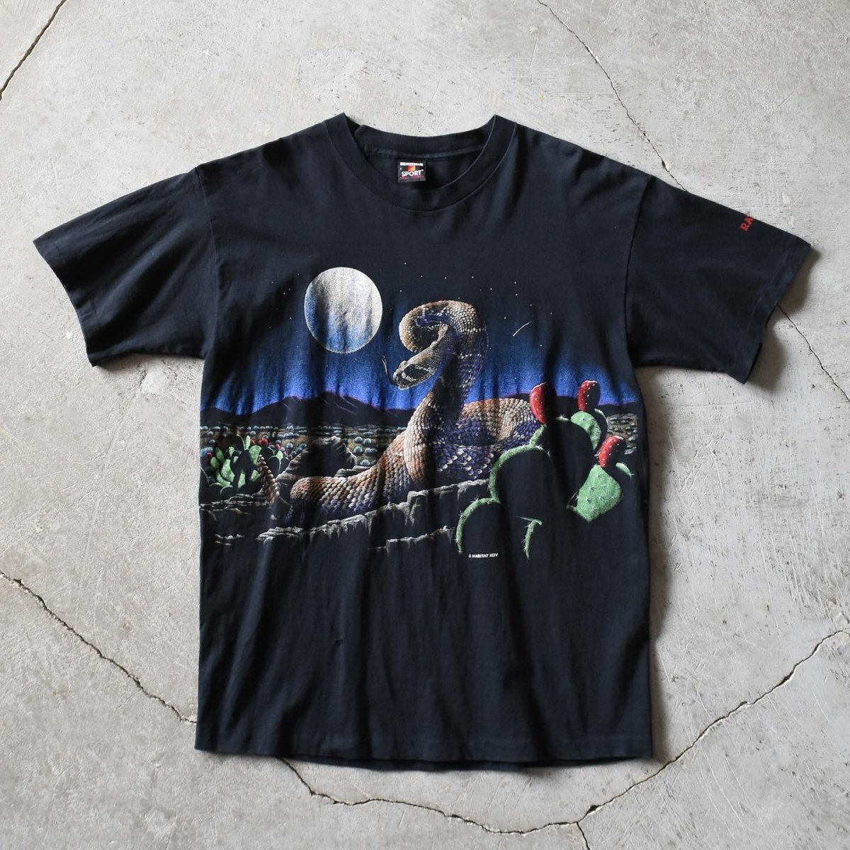画像1: 1990s HABITAT XCIV サボテンTシャツ　 "MADE IN USA"　 表記L  (1)