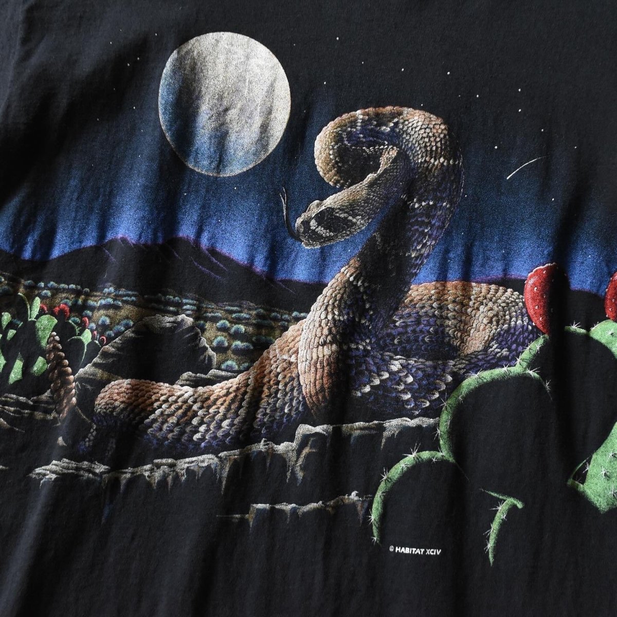 画像5: 1990s HABITAT XCIV サボテンTシャツ　 "MADE IN USA"　 表記L  (5)