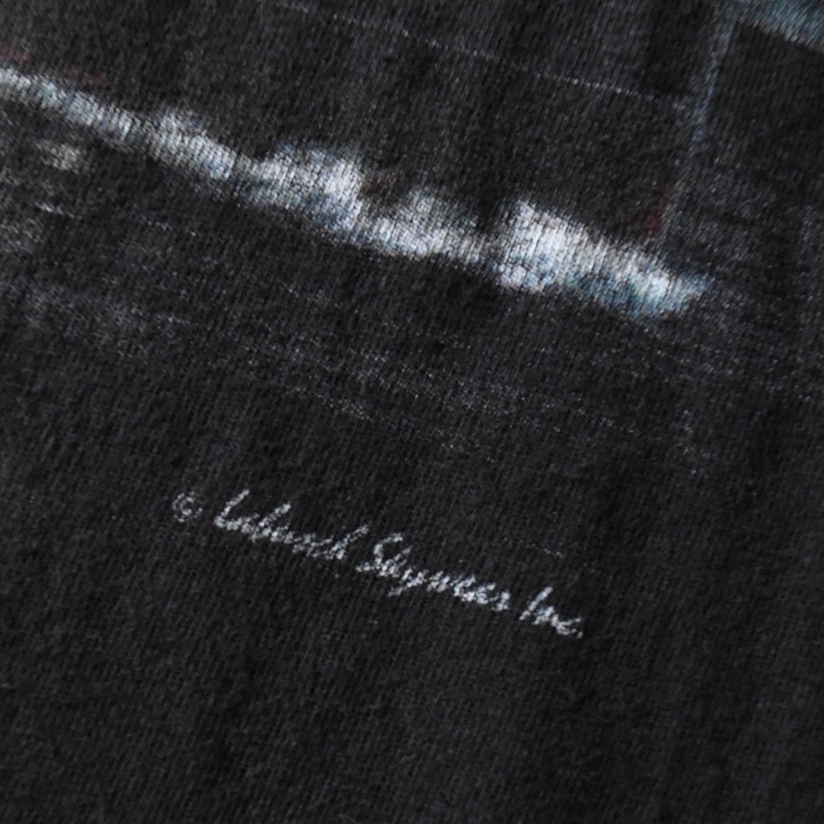 画像5: 2000s TITANIC Tシャツ　 表記L  (5)
