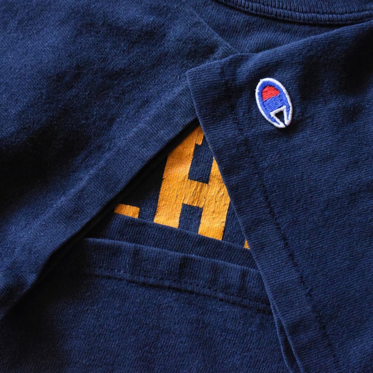 画像6: 1980s Champion "MICHIGAN" カレッジTシャツ　 "MADE IN USA"　 表記XL  (6)