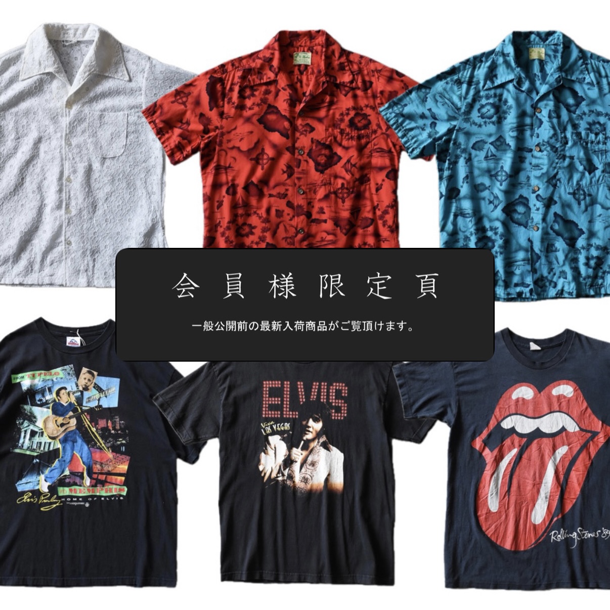 会員限定ページ更新｜新入荷6点追加しました