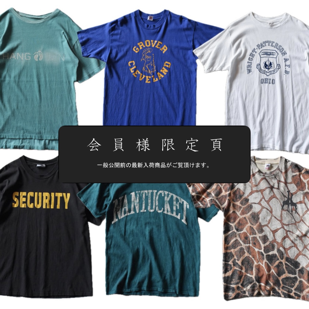 会員限定ページ更新｜新入荷6点追加しました