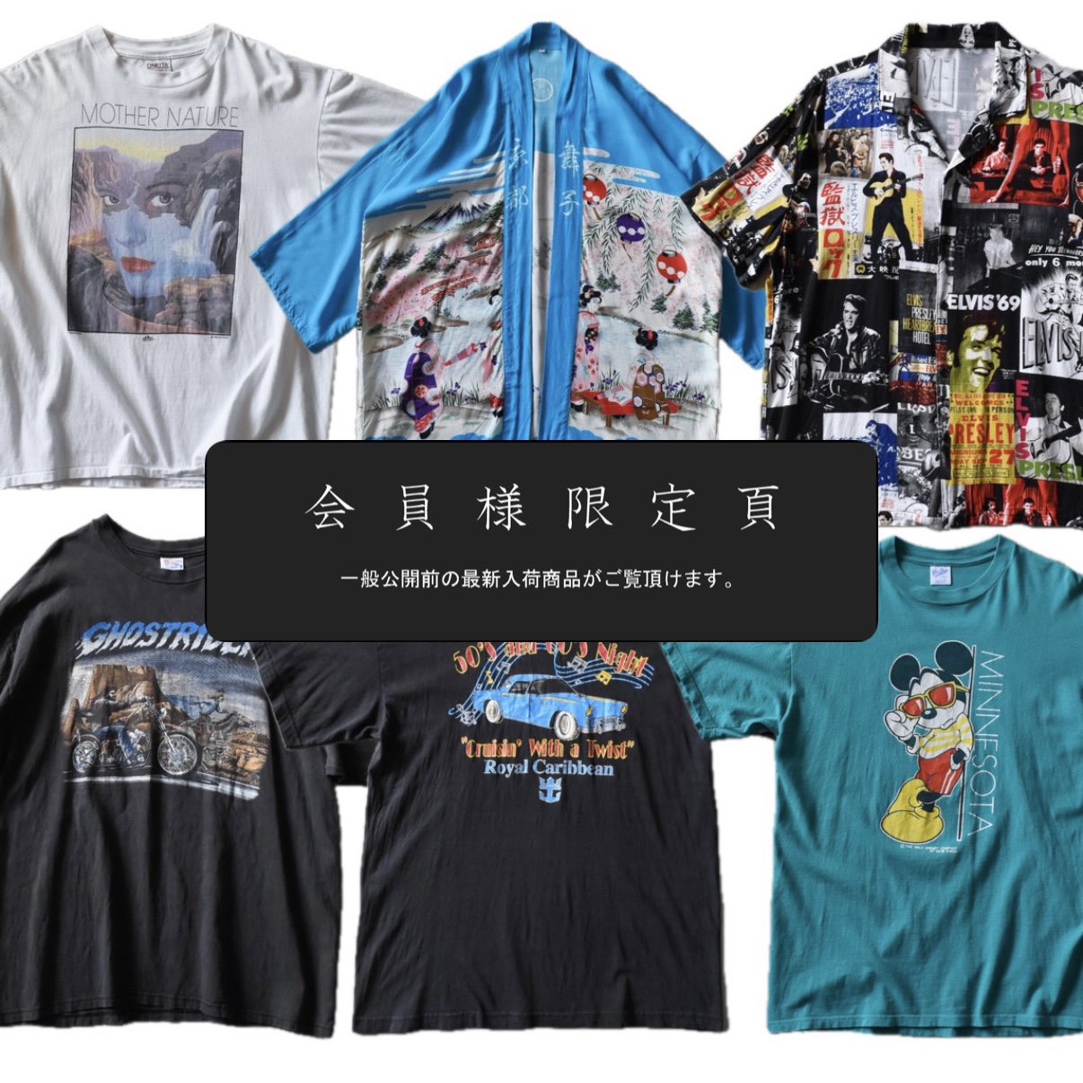 会員限定ページ更新｜新入荷6点追加しました