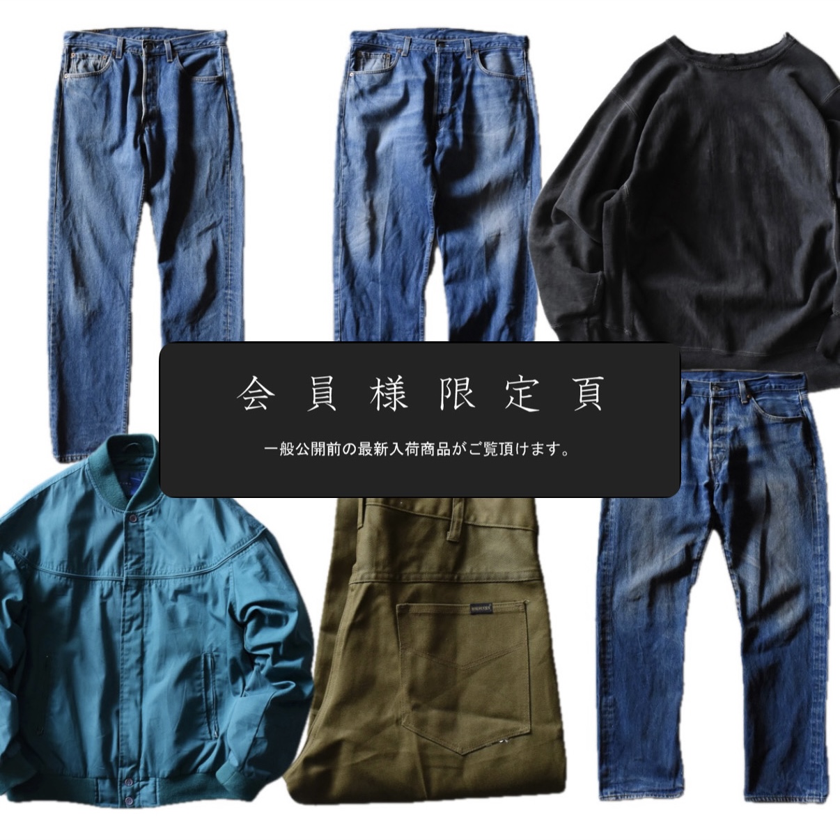 会員限定ページ更新｜新入荷6点追加しました