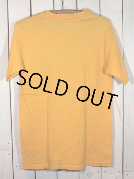 画像3: 1970s【Hanes】HAWAIIサーフTシャツ (3)