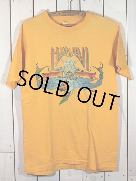 画像2: 1970s【Hanes】HAWAIIサーフTシャツ (2)