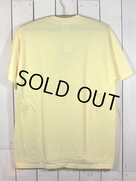 画像3: 1980s痩せ過ぎTシャツ (3)