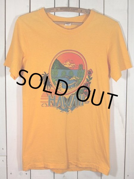 画像2: 1970s【Hanes】ハワイサーフTシャツ (2)