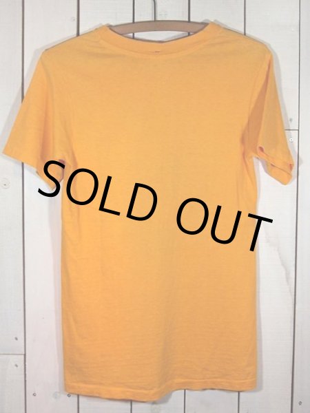 画像3: 1970s【Hanes】ハワイサーフTシャツ (3)