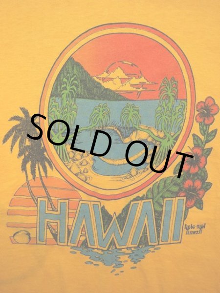 画像5: 1970s【Hanes】ハワイサーフTシャツ (5)