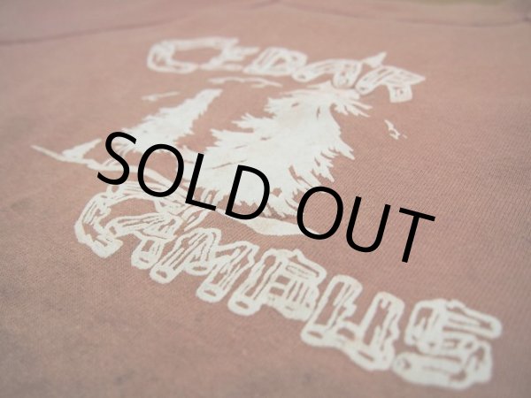 画像4: 1960sフロッキースウェット (4)