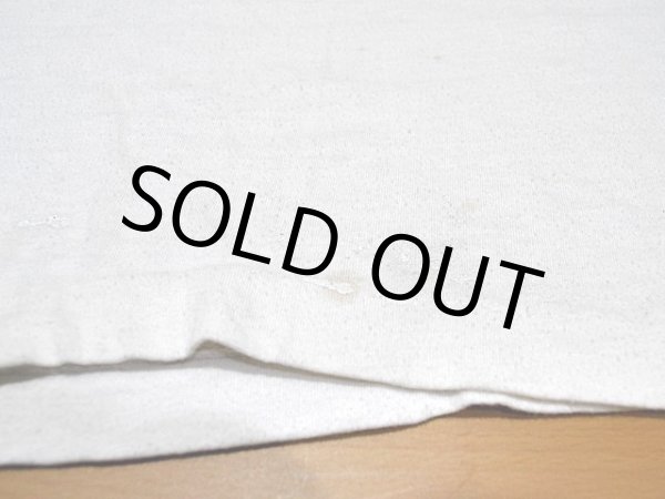 画像10: 1980sグレちゃったバッキーくんリンガーTシャツ (10)