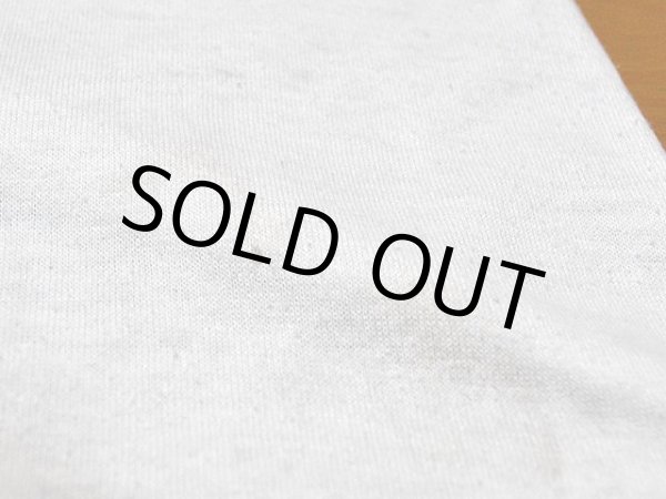 画像8: 1980sグレちゃったバッキーくんTシャツ (8)