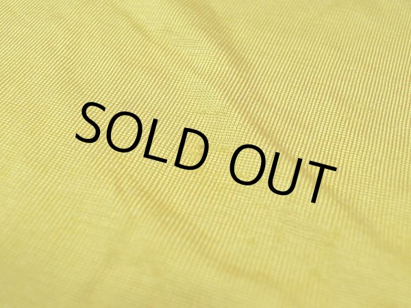 画像11: 1950s【Champion】ランタグレーヨンTシャツ VFW (11)