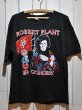 画像1: 1980s ROBERT PLANTパキ綿ツアーTシャツ (1)