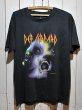 画像1: 1980s Def LeppardバンドTシャツ　Hysteria (1)