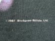 画像6: 1980s Def LeppardバンドTシャツ　Hysteria (6)