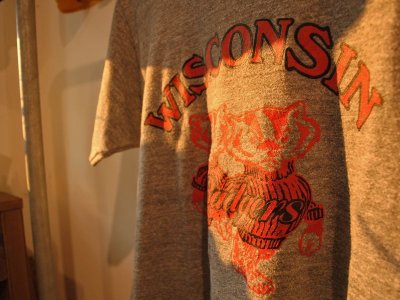 画像1: 1980s WISCONSIN Bucky BadgersカレッジTシャツ　表記M