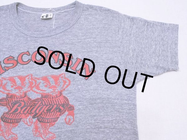 画像6: 1980s WISCONSIN Bucky BadgersカレッジTシャツ　表記M (6)