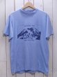 画像1: 1980s Mckinley(Denali)アウトドアTシャツ　表記M (1)