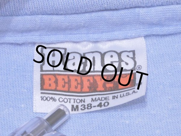 画像3: 1980s Mckinley(Denali)アウトドアTシャツ　表記M (3)