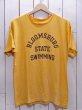 画像1: 1970s【Champion】BLOOMSBURGカレッジTシャツ バータグ　表記L (1)