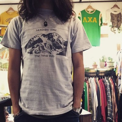 画像1: 1980s Mckinley(Denali)アウトドアTシャツ　表記M