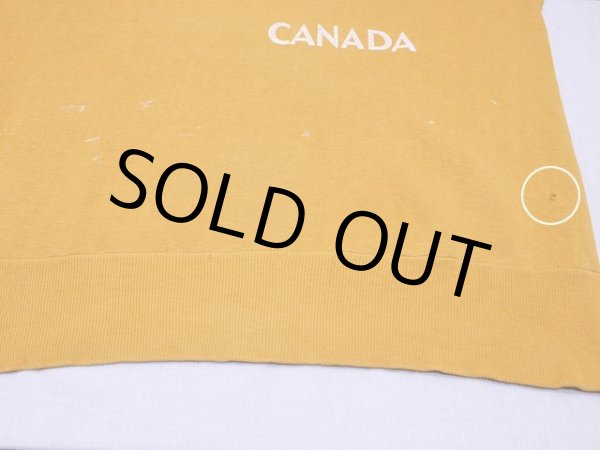 お腹付近に白っぽい汚れと小さなダメージ