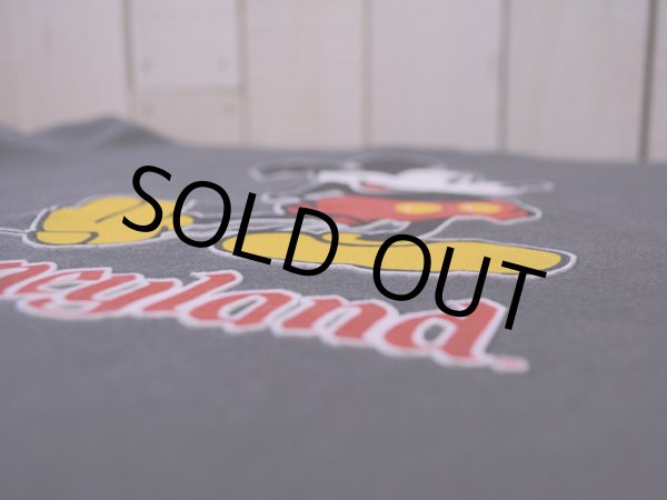 画像6: 1980sミッキーフロッキースウェット 表記S  (6)