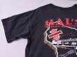 画像8: 1980s【HARLEY-DAVIDSON】バー&シールドTシャツ　 表記M  (8)