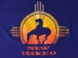 画像5: 1980s NEW MEXICO Tシャツ　 表記XL  (5)