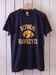 画像1: 1980s【Champion】カレッジTシャツ IOWA HAWKEYES　 表記L  (1)