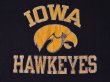 画像6: 1980s【Champion】カレッジTシャツ IOWA HAWKEYES　 表記L  (6)