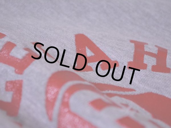 画像10: 1970s Champion リバースウィーブスウェット  単色タグ  表記XL  (10)