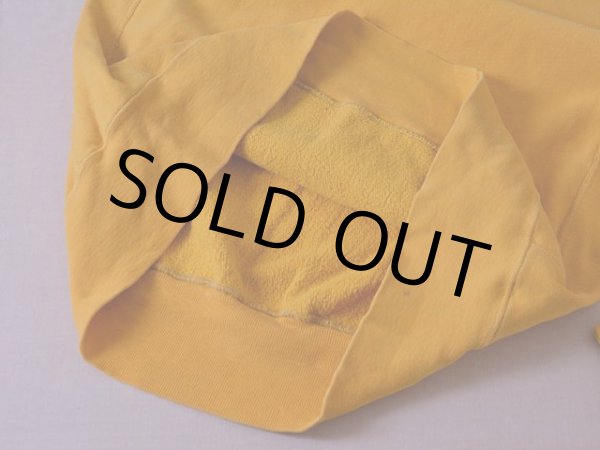 画像9: 1970s Champion リバースウィーブパーカー 単色タグ前期  表記L  (9)