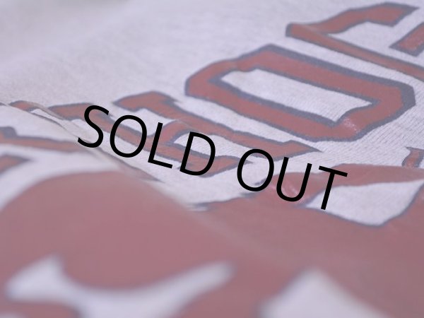 画像10: 1990s Champion リバースウィーブスウェット  表記L  (10)