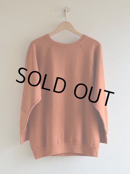 画像2: 1980s〜 TEXAS LONGHORNS スウェット　 実寸L  (2)