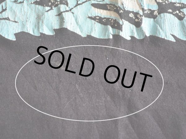 お腹付近に僅かな汚れピンホール。