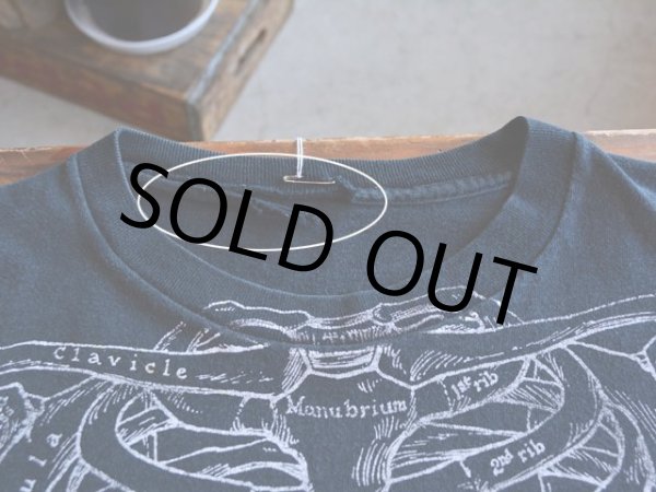 画像3: 1990s Leslie Arwin 人体骨格だまし絵Tシャツ　 実寸L-XL  (3)