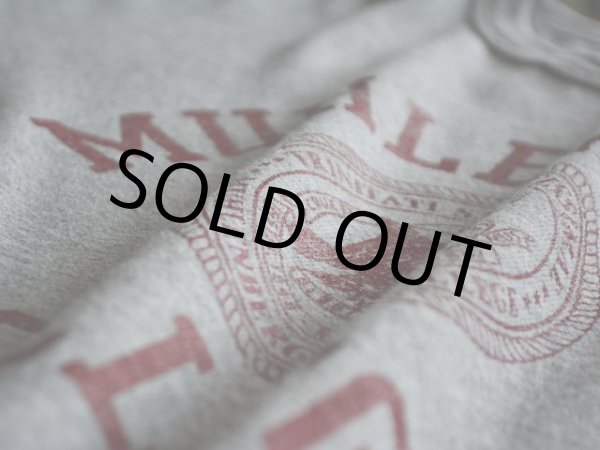 画像10: 1980s Champion 88/12カレッジTシャツ　 表記XXL  (10)