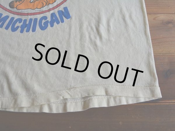 画像7: 1970s Garfield Tシャツ　 実寸ML  (7)